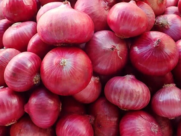 Natural Fresh Red Onions