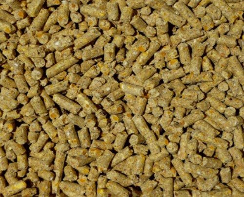 Organic Chicken and Poultry Feed